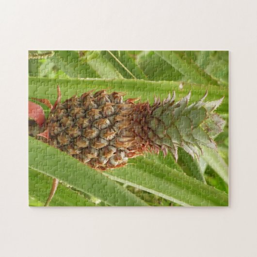 Puzzle Ananas sauvage Fruit tropical dans la nature (Horizontal)