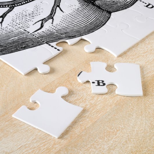 Puzzle Anatomie-Coeur-Image-Cru (Côté)