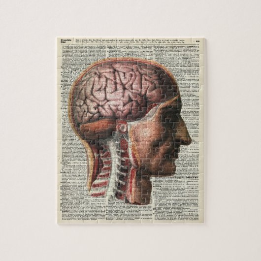 Puzzle Anatomie d'esprit humain (Vertical)