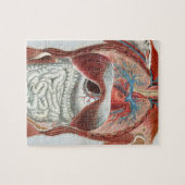 Puzzle Anatomie du corps humain (Horizontal)