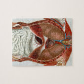 Puzzle Anatomie du corps humain (Horizontal)