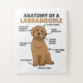 Puzzle Anatomie D'Un Labradoodle Cute Canine Chiot (Vertical)