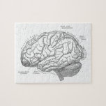 Puzzle Anatomie vintage de cerveau<br><div class="desc">Anatomie vintage de cerveau</div>