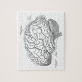 Puzzle Anatomie vintage de cerveau (Vertical)
