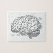 Puzzle Anatomie vintage de cerveau (Horizontal)