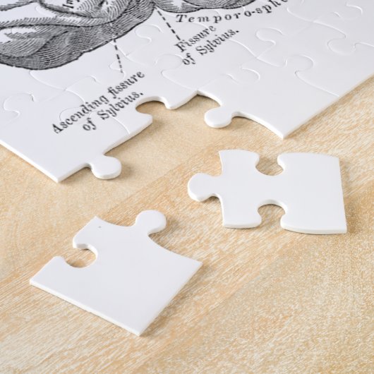 Puzzle Anatomie vintage de cerveau (Côté)