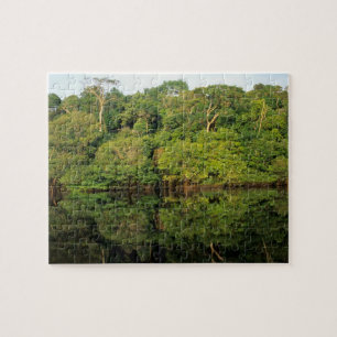 Puzzle Anavilhanas, Amazonas, Brésil. Rivière de la forêt
