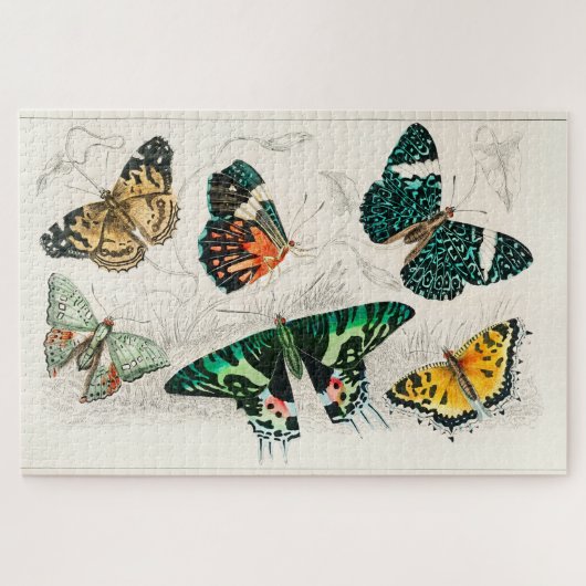 Puzzle Ancien Papillon vintage (Horizontal)