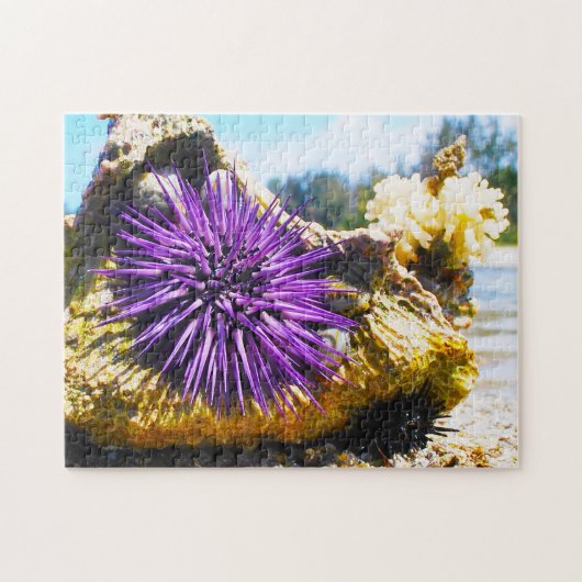 Puzzle Anémones de mer (Horizontal)