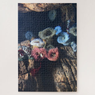 Puzzle Anémones de mer.