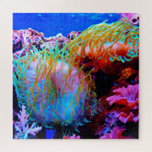 Puzzle Anémones de mer