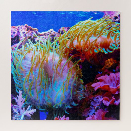 Puzzle Anémones de mer (Horizontal)