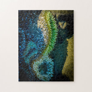 Puzzle Anémones de mer à Cox Bay, Tofino (Colombie-Brit