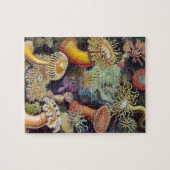 Puzzle Anémones sous-marines vintages par Ernst Haeckel (Horizontal)