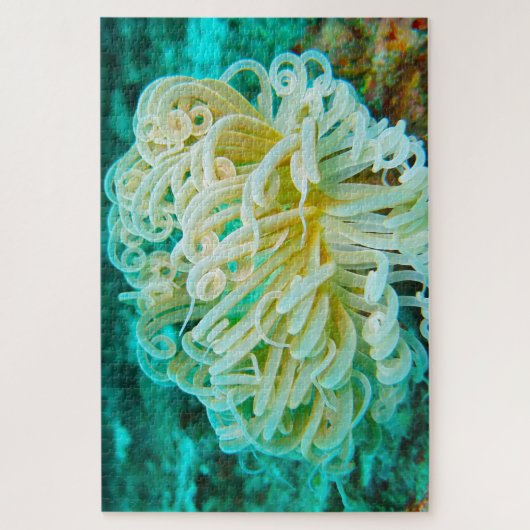 Puzzle Anémonies maritimes (Vertical)