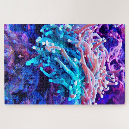 Puzzle Anémonies maritimes (Horizontal)