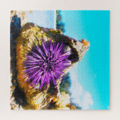 Puzzle Anémonies maritimes (Horizontal)