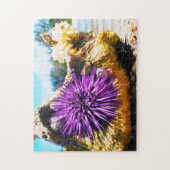 Puzzle Anémonies maritimes (Vertical)