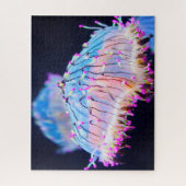 Puzzle Anémonies maritimes (Vertical)