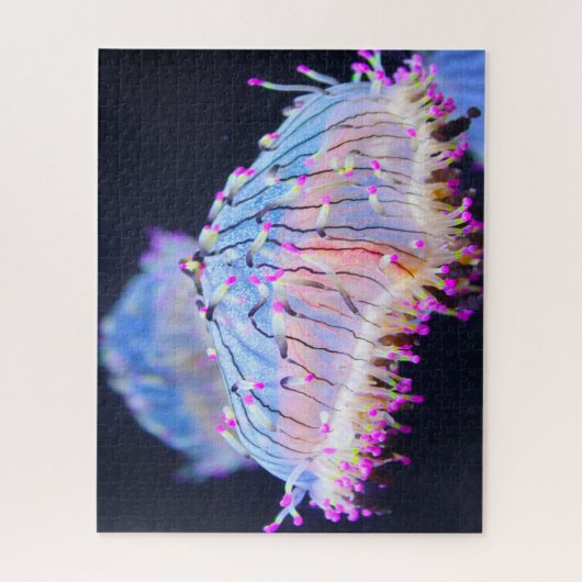 Puzzle Anémonies maritimes (Vertical)