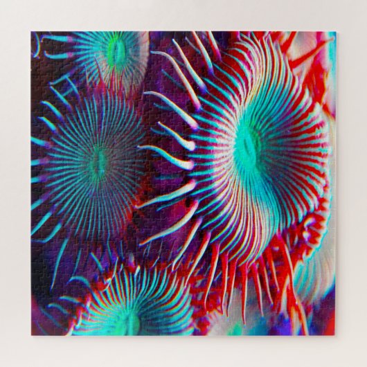 Puzzle Anémonies maritimes (Horizontal)