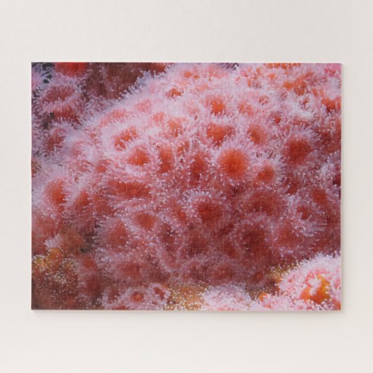 Puzzle Anénome marin, rose pastel (Horizontal)