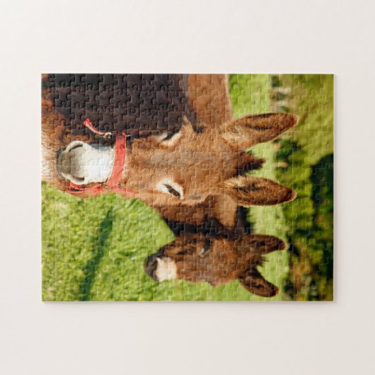 Puzzle Ânes (Horizontal)