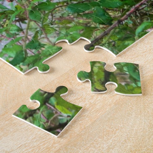 Puzzle ânes, 520pcs, (Côté)