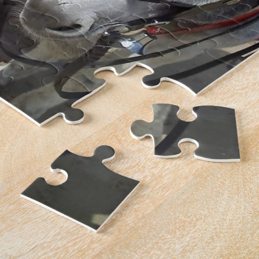 Puzzle ânes de plage (Côté)