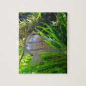 Puzzle Angel FIsh (Vertical)