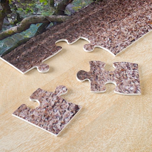 Puzzle Angel Oak, Caroline du Sud (Côté)