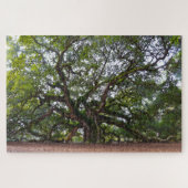 Puzzle Angel Oak, Caroline du Sud (Horizontal)