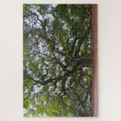 Puzzle Angel Oak, Caroline du Sud (Vertical)