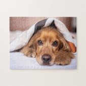 Puzzle Anglais Cocker Spaniel (Horizontal)