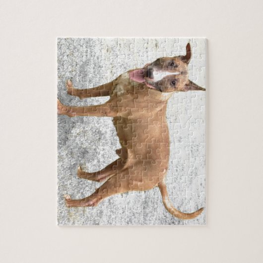 Puzzle anglais de bull-terrier (Vertical)