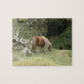 Puzzle Angleterre & Dartmoor Ponny, Wild Horses/Grande-Br (Horizontal)