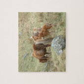 Puzzle Angleterre et Dartmoor Ponnies, Wild Hors/Britain (Vertical)