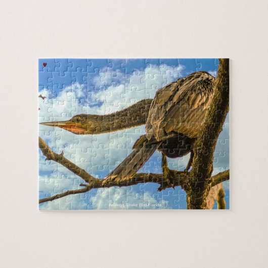 Puzzle Anhinga Oiseau-serpent Floride (Horizontal)