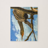 Puzzle Anhinga Oiseau-serpent Floride (Vertical)