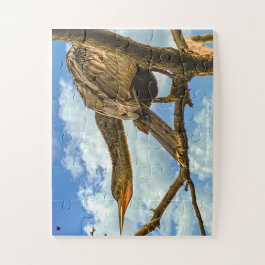 Puzzle Anhinga Snake Bird Floride (Vertical)
