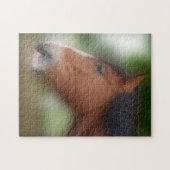 Puzzle Animal à visage de cheval de Shire (Horizontal)