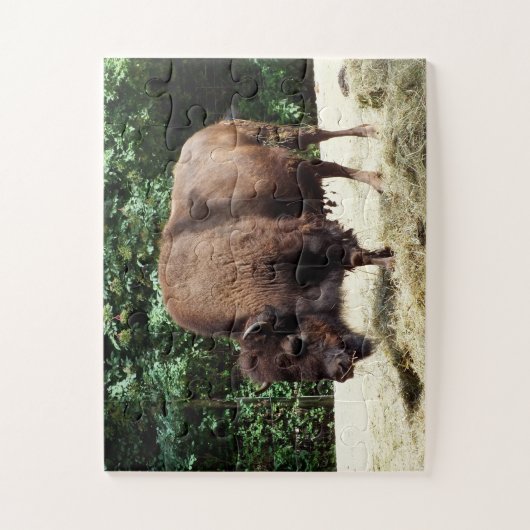 Puzzle Animal bison (Vertical)
