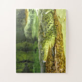 Puzzle animal de crocodile cubain (Vertical)