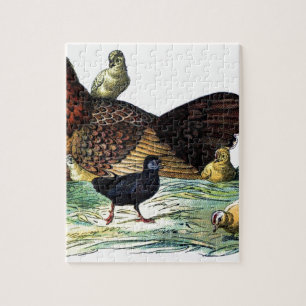 Puzzle Animal de cru de poulets