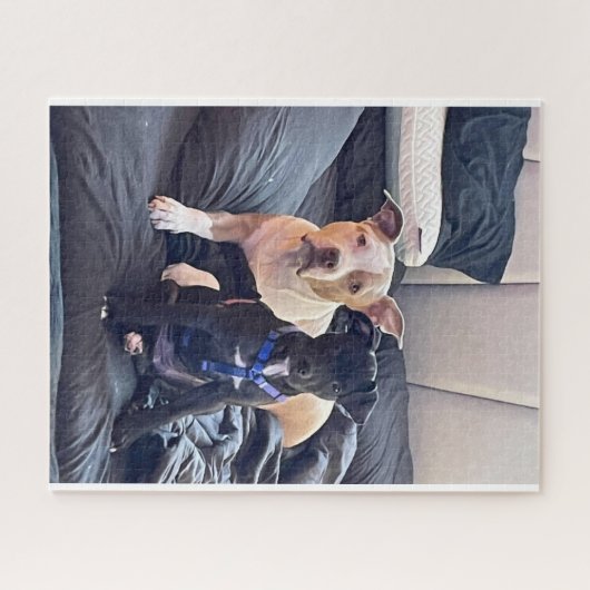 Puzzle animal lenguaje (Horizontal)