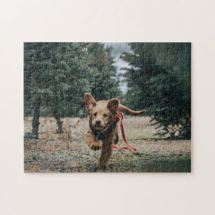 Puzzle Animal Pic mignon Sad Chiot Photographie Animal