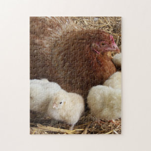 Puzzle animal, poussin, poulet, ferme, mignon, oiseau, bé