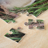 Puzzle animal, poussins de poulet vivent dans l'herbe ver (Côté)