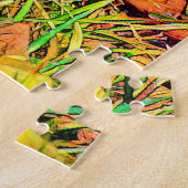 Puzzle AnimalColor_Armadillo_001 (Côté)
