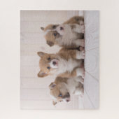 Puzzle Animaux de bébés cutest | 3 Baby Corgis (Vertical)